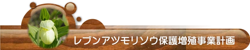 レブンアツモリソウ保護増殖事業計画