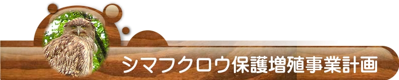 シマフクロウ保護増殖事業計画