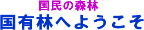 国民の森林 国有林へようこそL