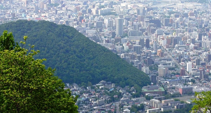 藻岩山から望む円山