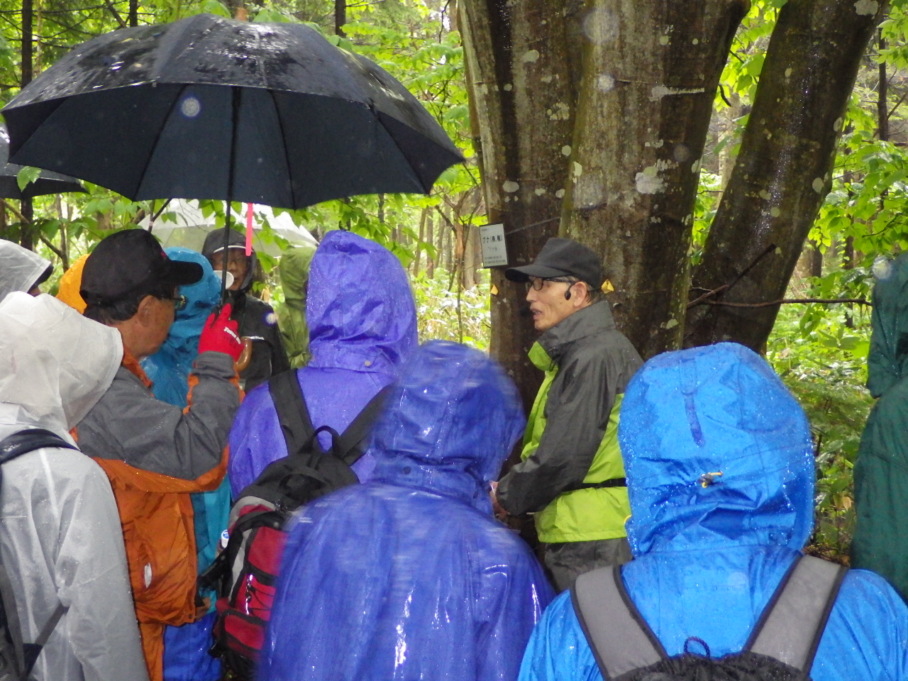 樹木園で講義