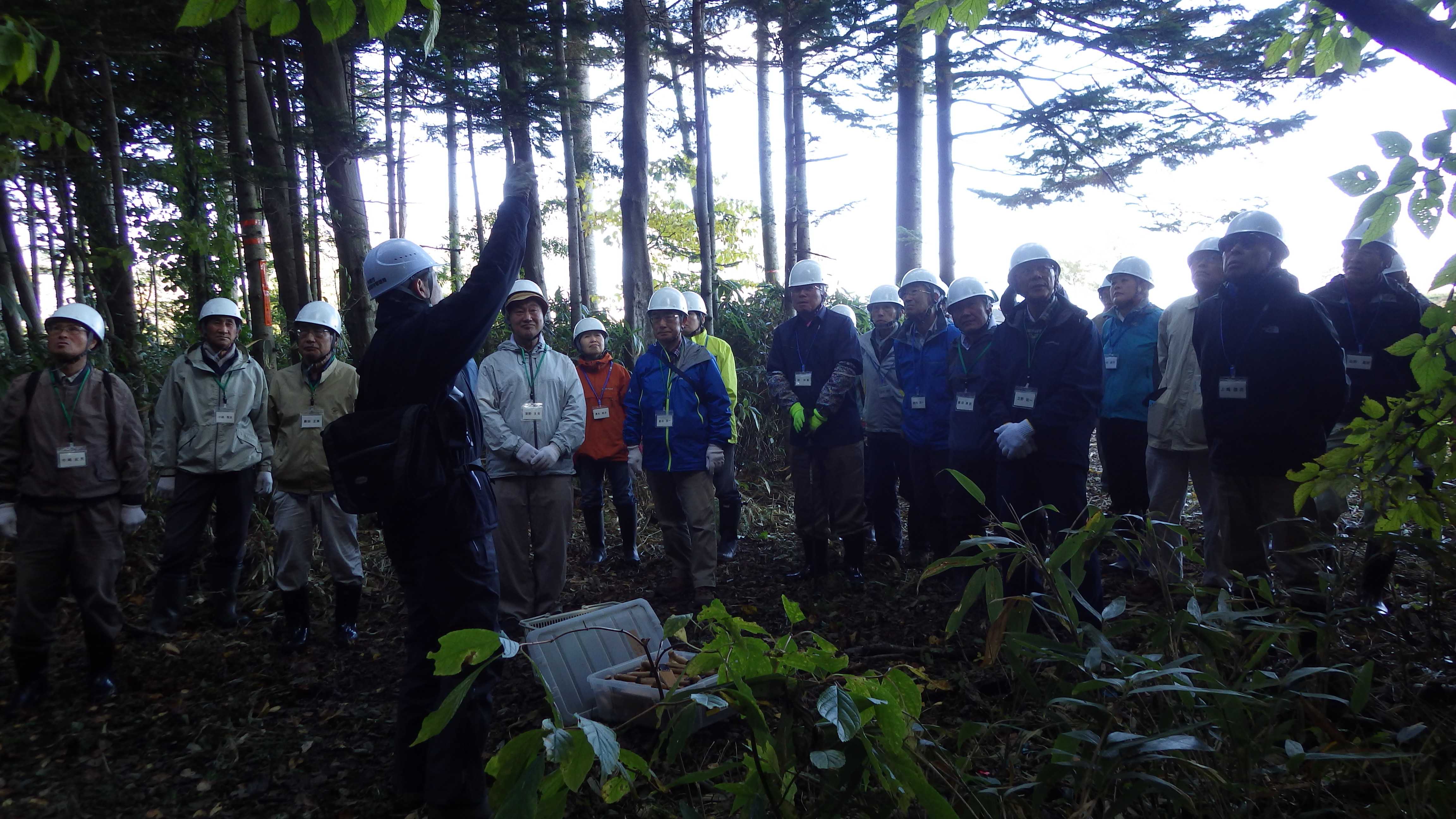 林内における安全作業について説明