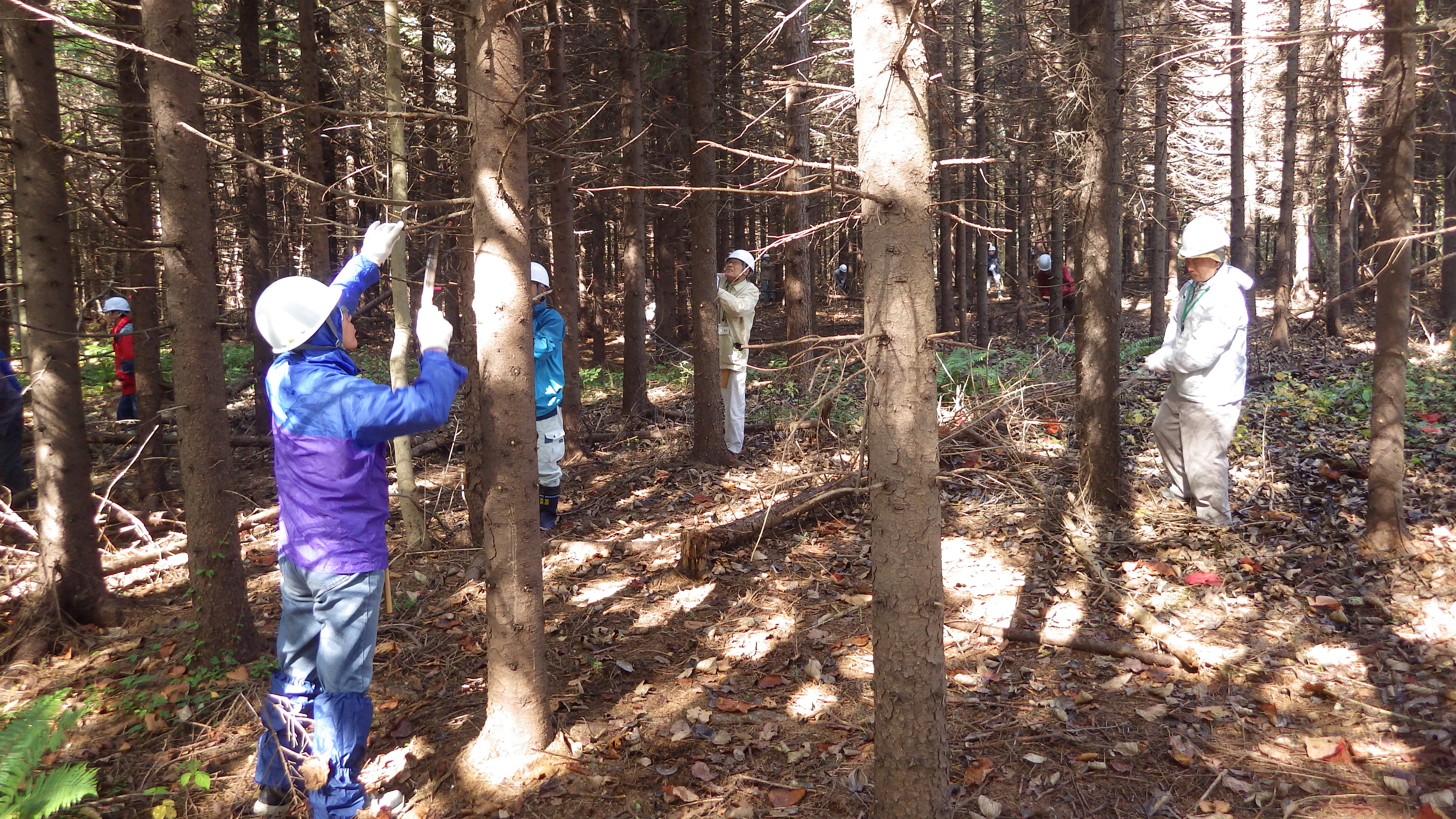 心地よい汗を流しています