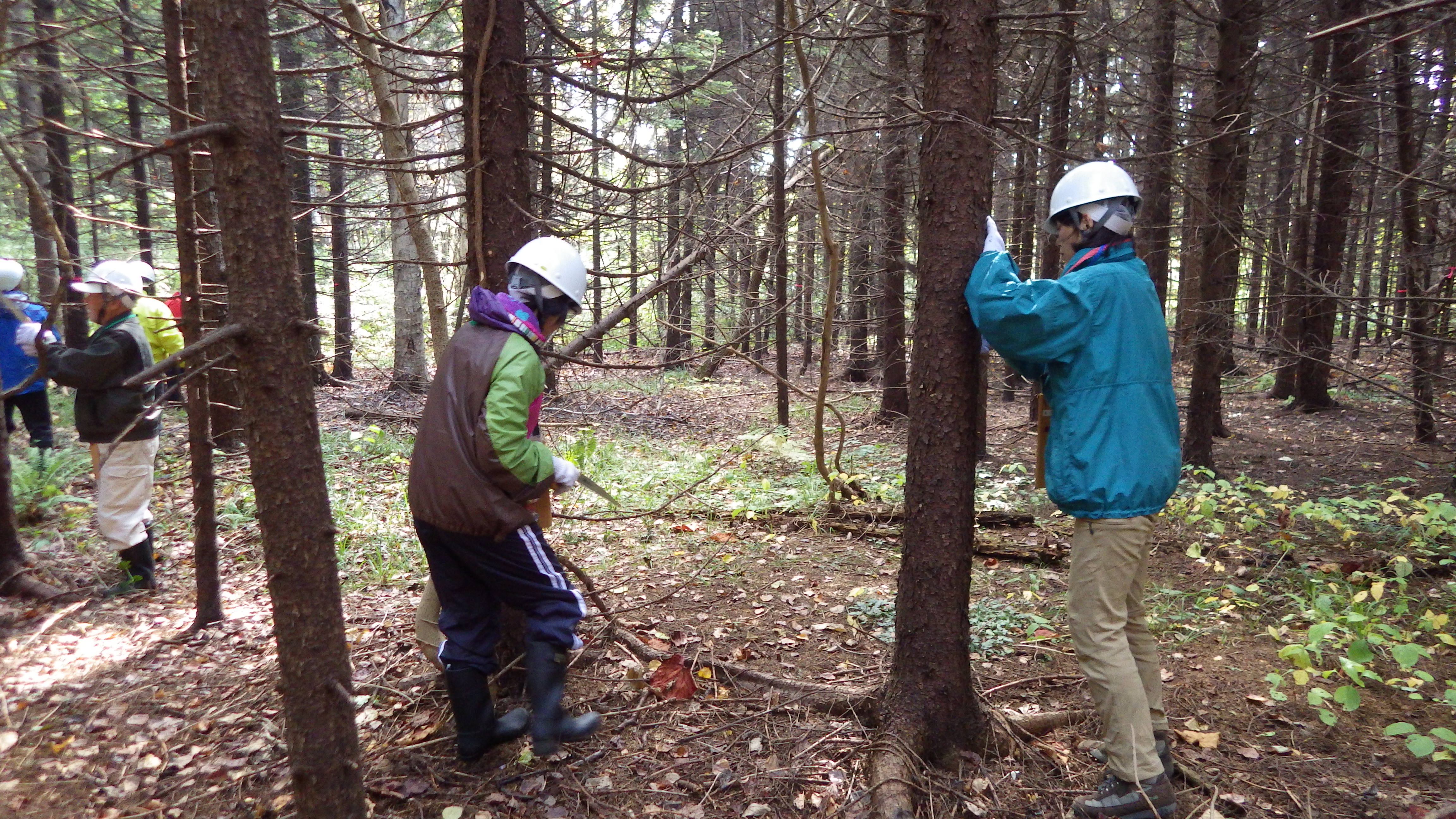 女性陣もがんばっています