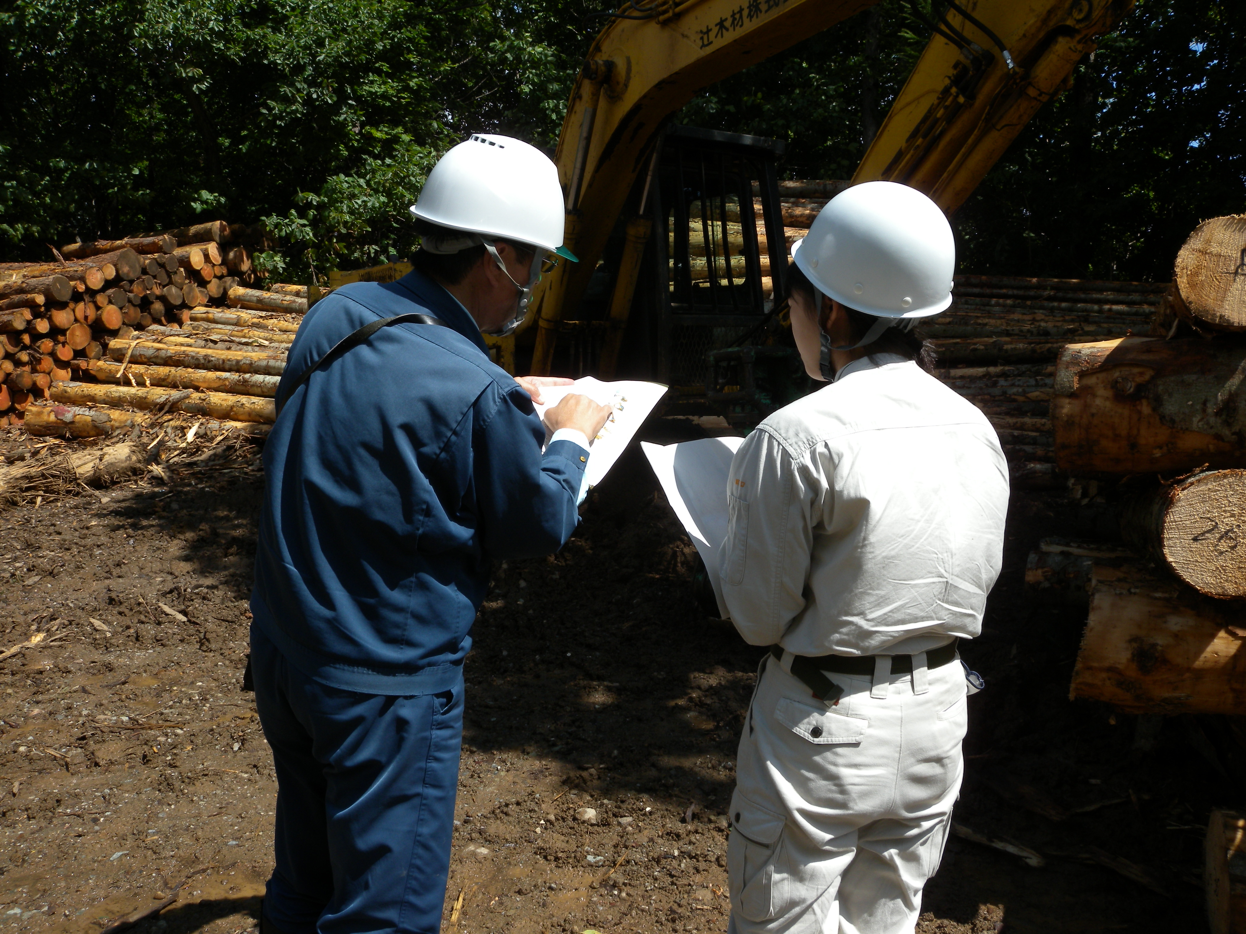 高性能林業機械