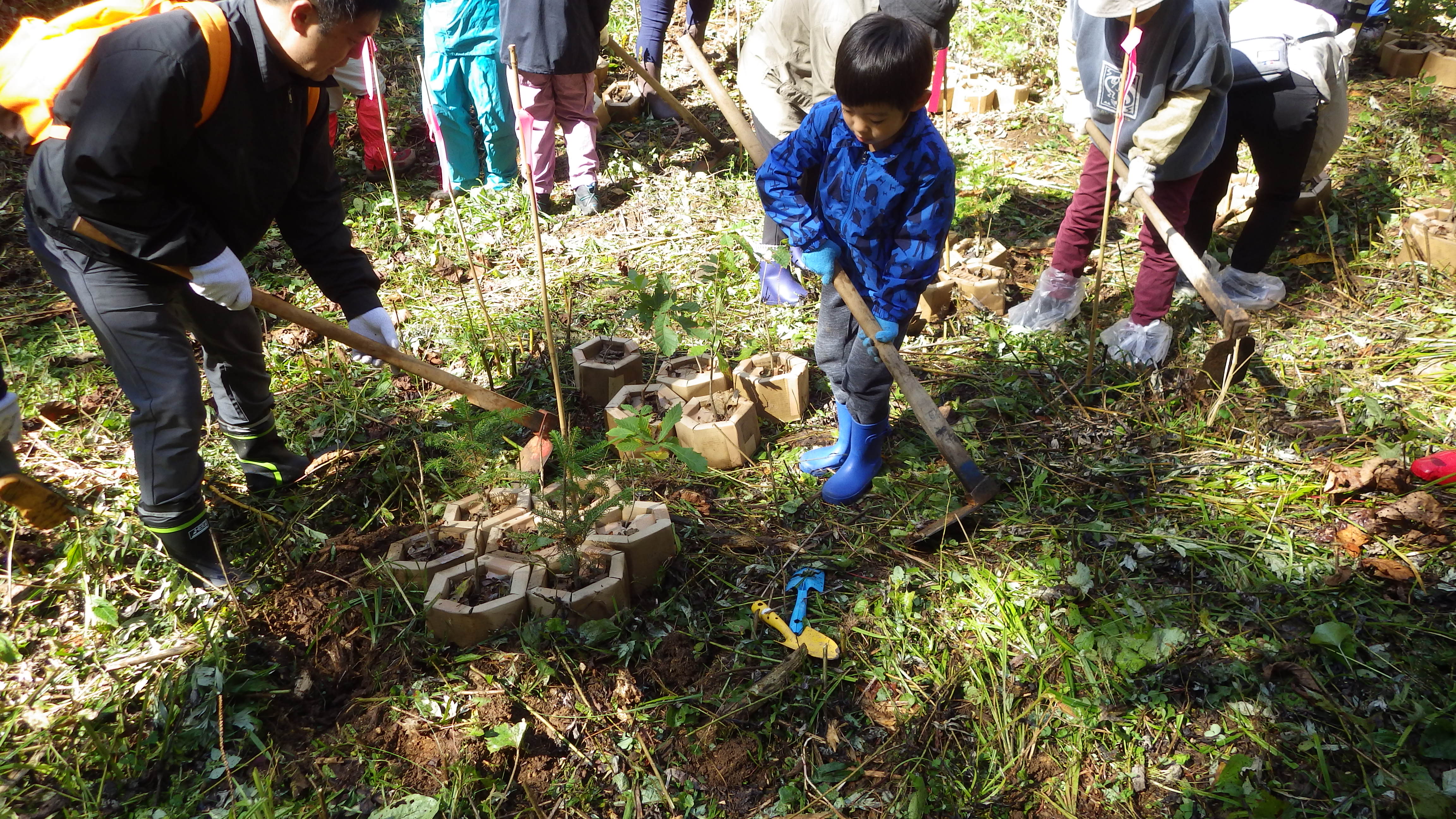 秋の植栽の様子