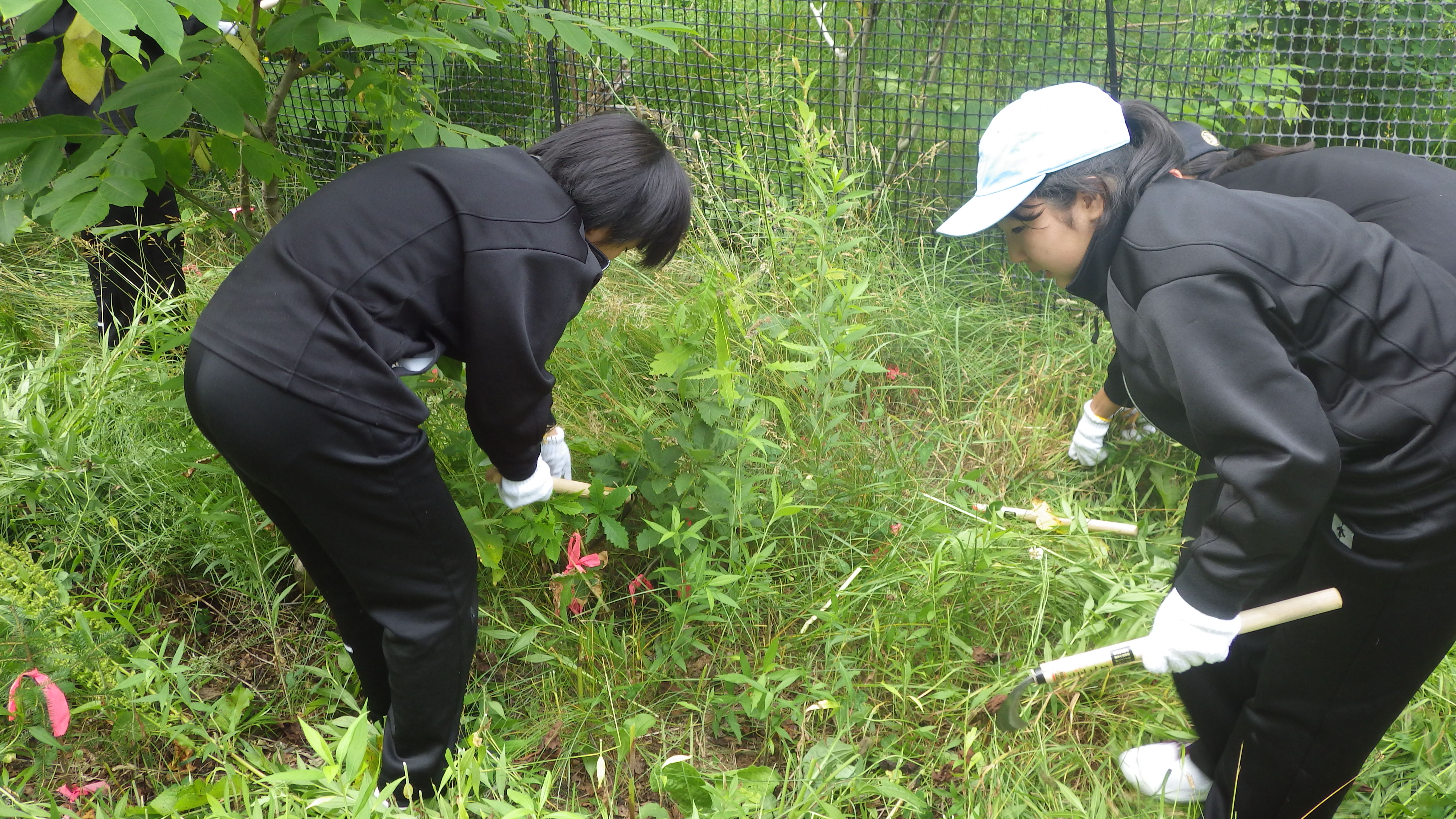 草刈りの様子（女性）