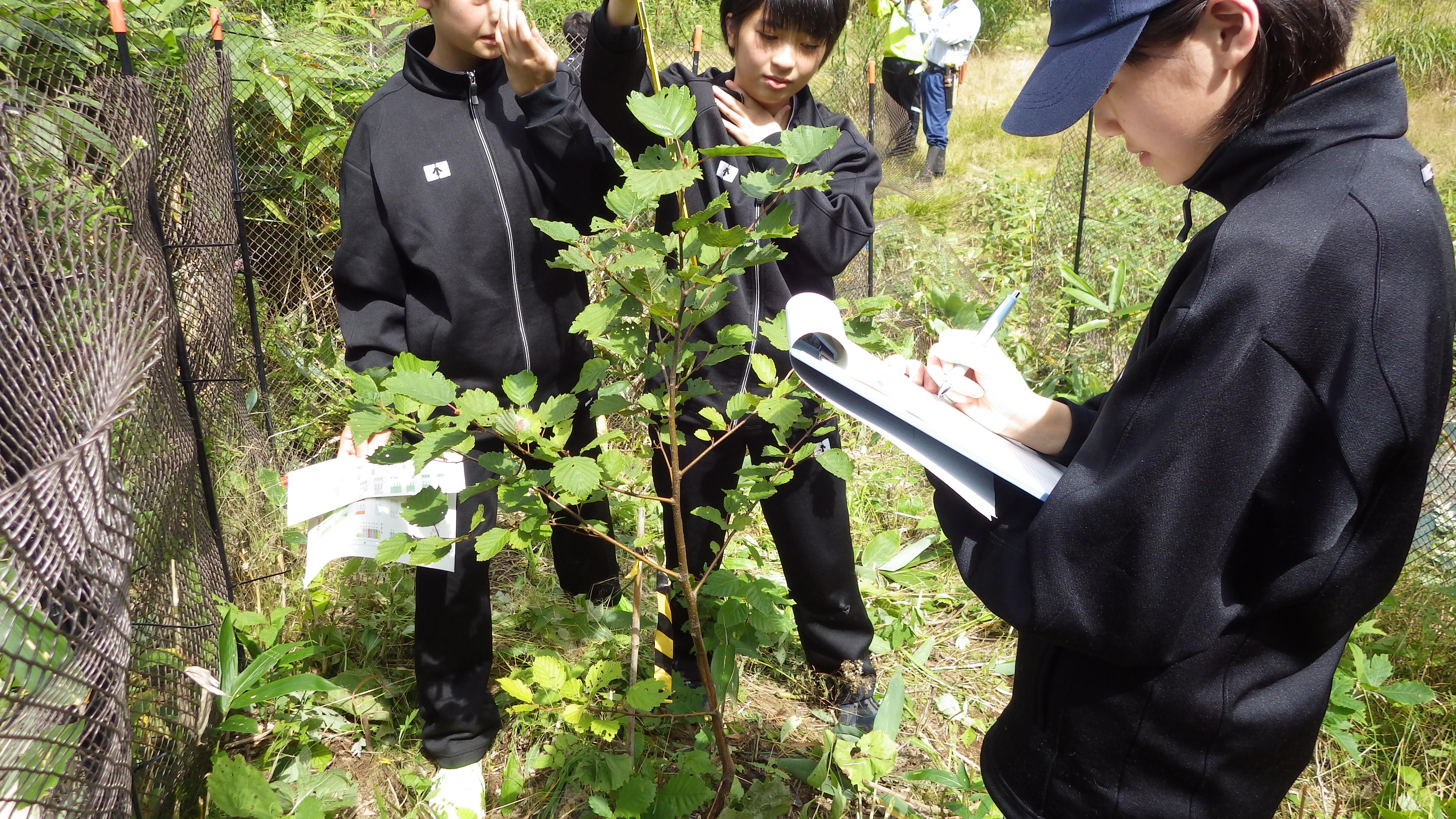 生長調査