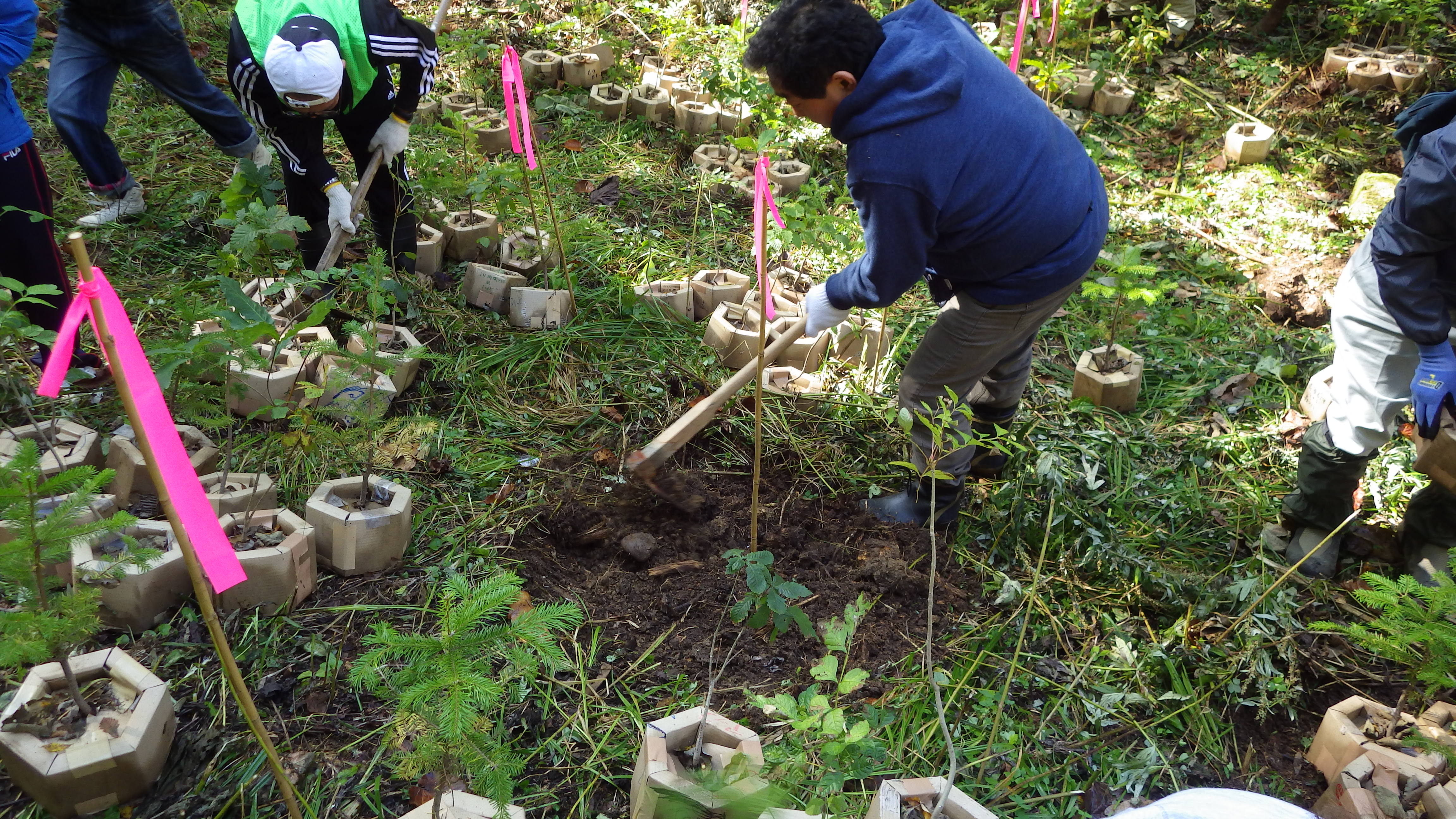 植栽作業