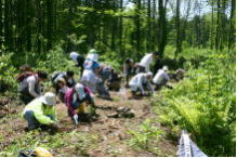 森林の中での活動