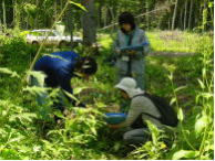 植付後の生育調査体験
