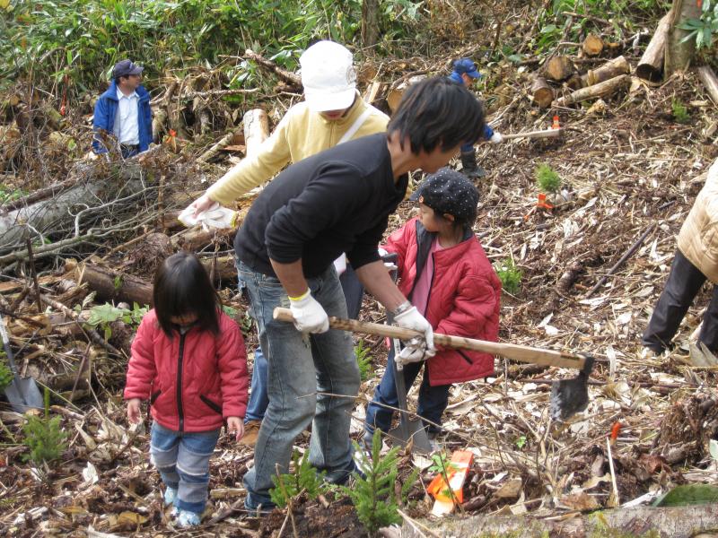 親と子協働の森1