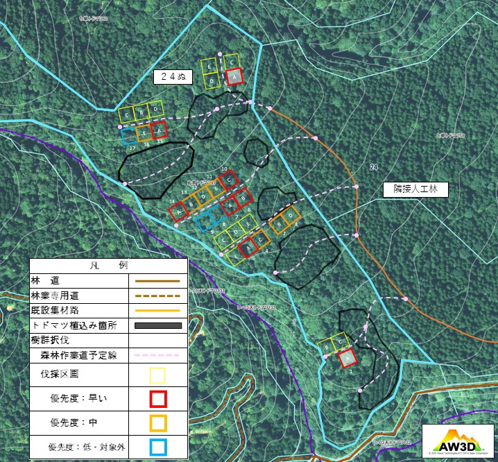 樹群択伐伐採区画設定案