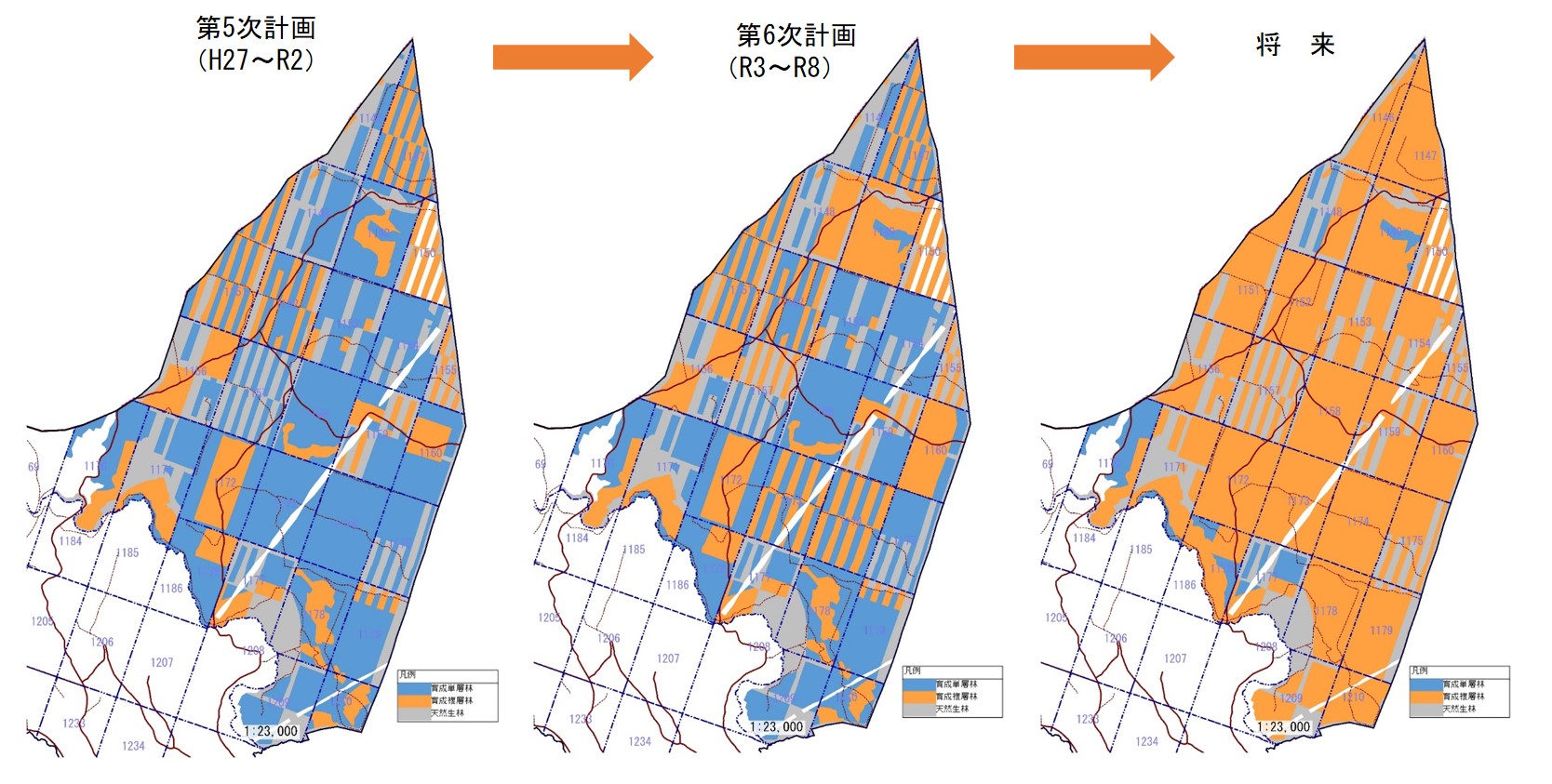 育成複層林将来