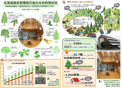木材利用状況のパネル
