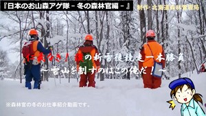 森林官の仕事動画