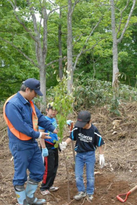 小学生等によるエゾヤマザクラ植樹