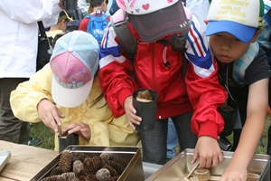飾り炭の材料を選ぶみなさん