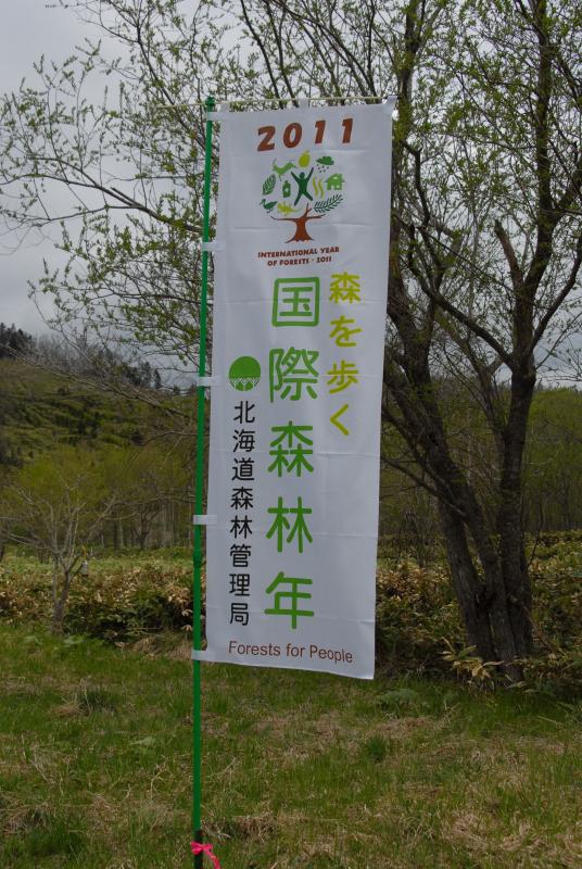 nobori