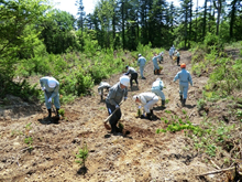 社会貢献の植樹祭