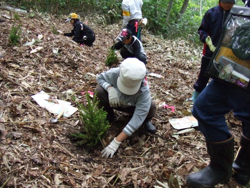 植樹、うまくできるかな