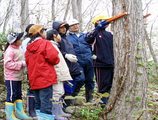 輪尺を手に気分は森林官！