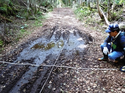 遊歩道（作業道）のぬかるみ状況調査