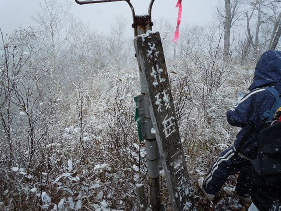 山頂は雪が降っていました