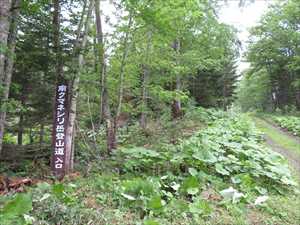 南クマネシリ岳登山道入口