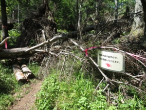 迂回路の表示