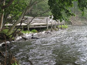 今日は風が強く、オンネトーの湖岸には泡が漂っていました。珍しい現象です。