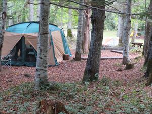 今日はテントが5張りありました。