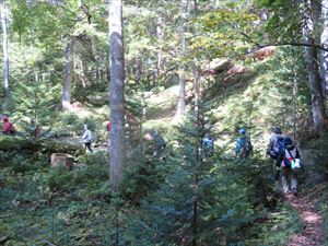 十勝東部森林管理署からは3名が参加し、オンネトー湖岸線コース（約3キロメートル）を担当しました。