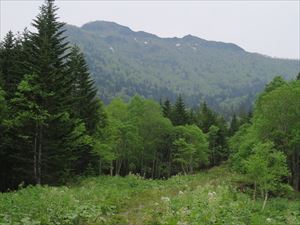 クマネシリ岳頂上