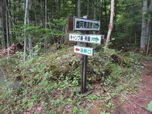 オンネトー湖岸線と森林コースの分岐地点