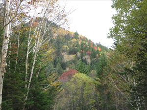 山の稜線近くまで紅葉