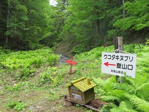 雨後滝山林道終点にある、ウコタキヌプリの入林届けポストです。