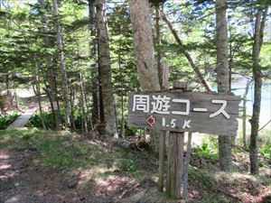 キャンプ場へ続く道との分岐があります。