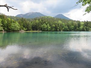 湖底に沈んだ木々が透き通って見え、神秘的な姿を見せていました。