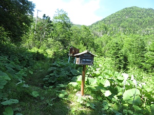 2021.7.15 クマネシリ岳・南クマネシリ岳  (29).jpg