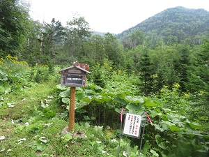 南クマネシリ岳の入林届ポスト