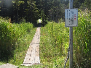 雌阿寒温泉側の森林コース