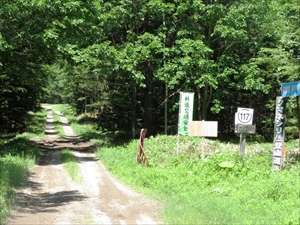 道々本別留辺蘂線からクマネシリ岳への林道入口です。
