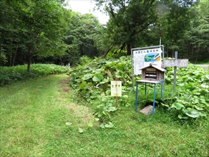 北稜岳の入林届出箱