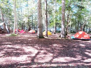 3連休の最後の日ですが、野営場ではたくさんのカラフルなテントが見られました。