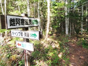 森林コースと湖岸線コースの分岐です。