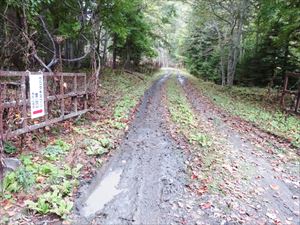 雨後滝山林道は、連日の雨で道がかなり悪くなっています。一部、林道が狭くなっているところがありますので、通行には十分注意をお願いします。