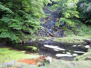 湯の滝の前にある溜まりに、赤いところが見えますが、そこから出ているお湯は約５０度あり、湯気もでています。