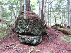 鬼の顔のように 見える岩