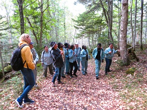 本日午後からJICA研修の「地域住民の参加による持続的な森林管理」の同行をしました